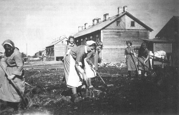 1942 год. Лотты