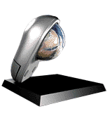 1998. Silver Mouse trophy
