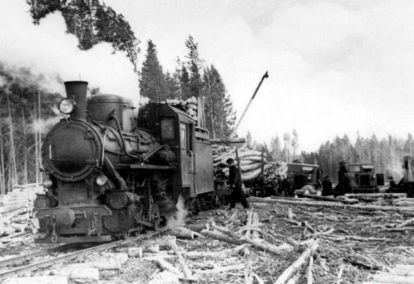 1955. Virandozero timber industry enterprise, Belomorsky District of Karelian-Finnish SSR