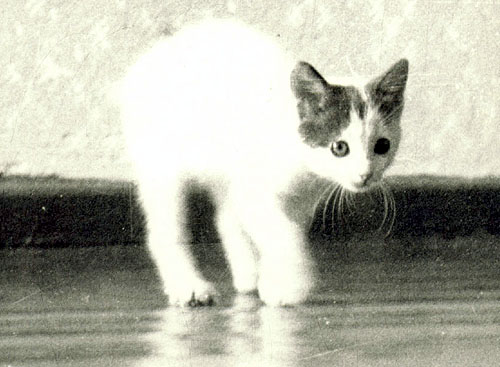 1987. Sveta