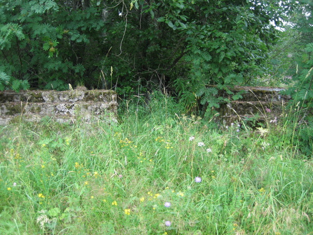Июль 2011 года. Руины деревни Ягляярви
