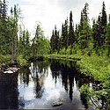 Late 1990's. National Park Paanajärvi