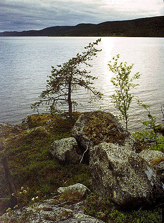 1990-luvun lopulla. Paanajärven Luonnonpuisto