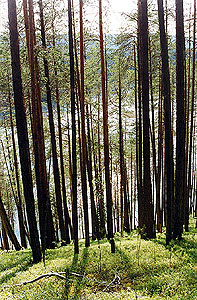 Late 1990's. National Park Paanajärvi