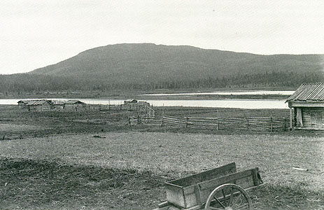 1911. Vartiolampi