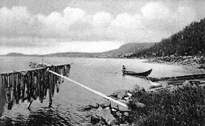 1930's. The Rajala Coast