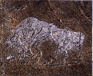 1990's. Petroglifs on White Sea