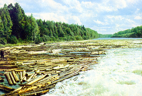 1965. Wood-float on Suna River