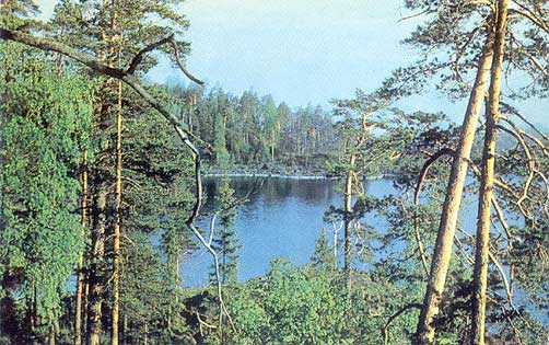 1975. Valaam. The South-West shore