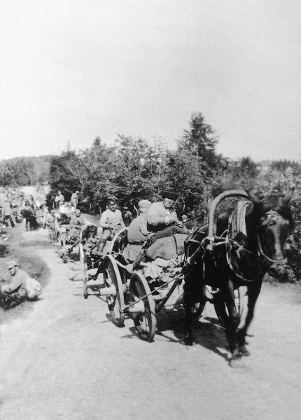 1919 год. Олонецкая Добровольческая Армия