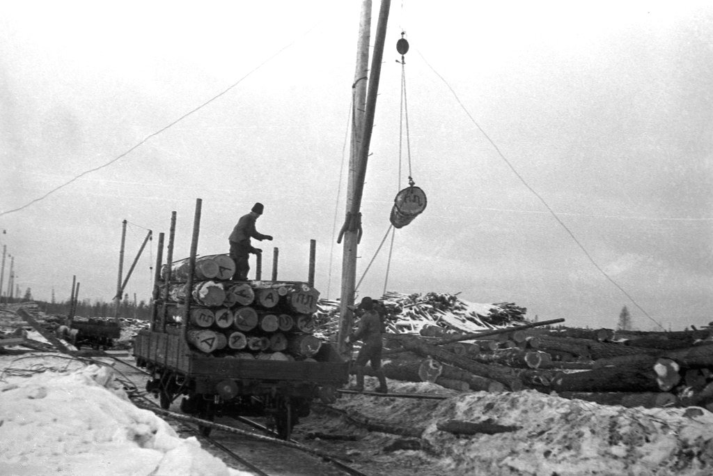1931. Uusikylä. Tukkipuun varastopaikka