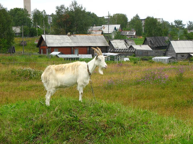 30. heinäkuuta 2006. Uusikylä