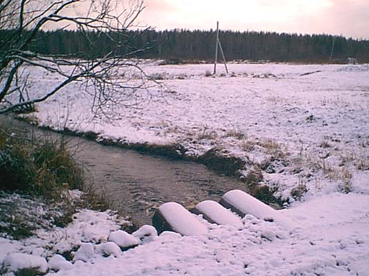 16. marraskuuta 2004. Uusikylä. Puujoki