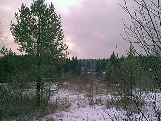 16. marraskuuta 2004. Uusikylä
