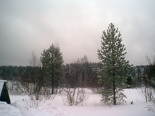 5. tammikuuta 2005. Uusikylä