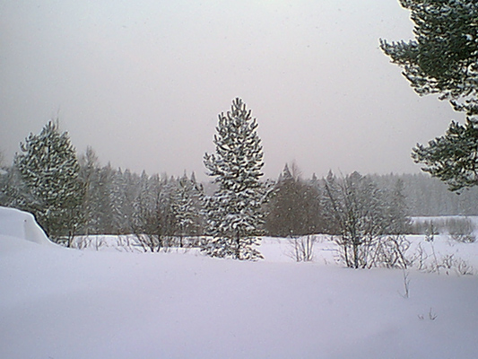 12. maaliskuuta 2005. Uusikylä