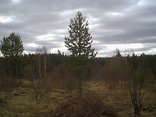 15. toukokuuta 2005. Uusikylä