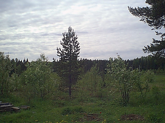 5. kesäkuuta 2005. Uusikylä