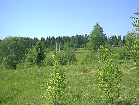 12. kesäkuuta 2005. Uusikylä