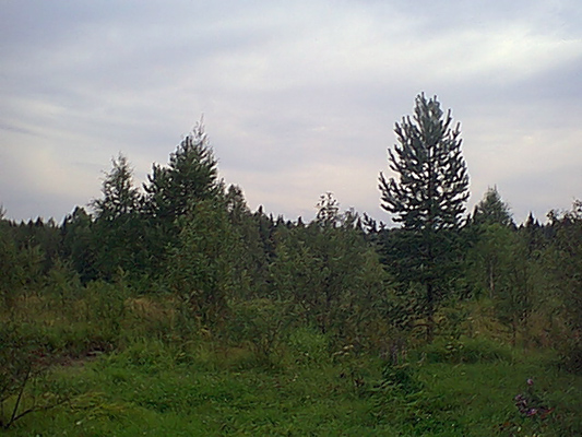 7. elokuuta 2005. Uusikylä