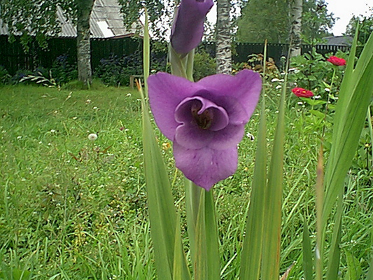 21. elokuuta 2005. Uusikylä
