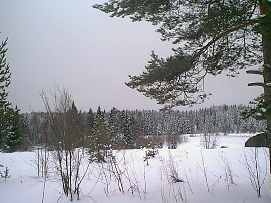 8. tammikuuta 2006. Uusikylä