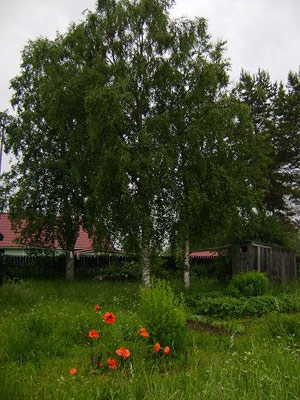 28. kesäkuuta 2009. Uusikylä