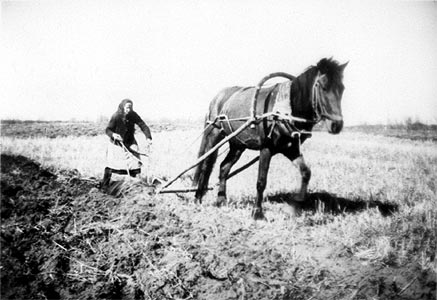 1943. Plowing women