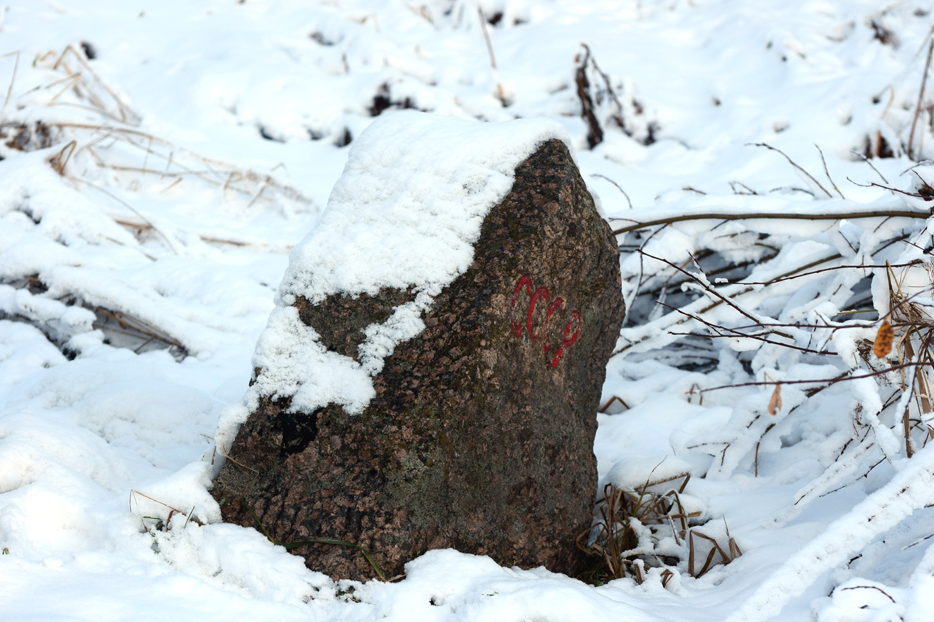 October 28, 2019. The boundary stone in Pogrankondushi village