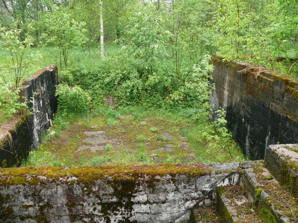 Late 2010's. Ylä-Uuksu. Ruins of the new Popular School