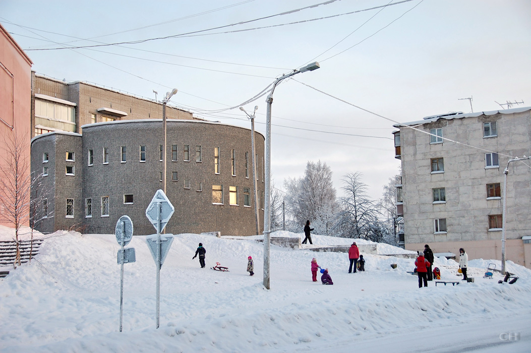 January 5, 2011. Suojärvi. Library