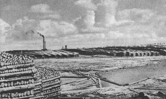1930's. Välikylä. Wiborg Wood Oy's lumber yard