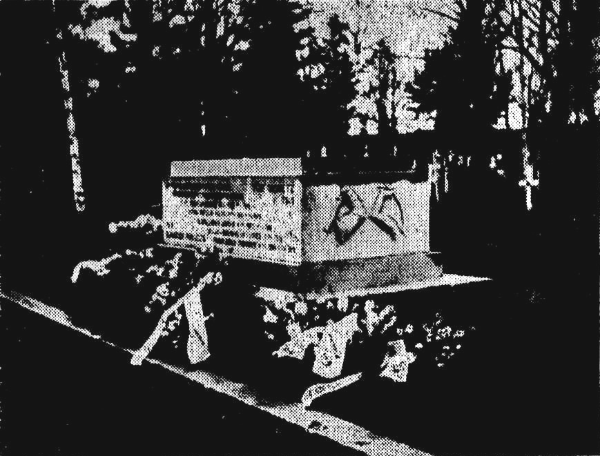 Toukokuu 1922. Aunuksen retkellä kaatuneiden hautakivi